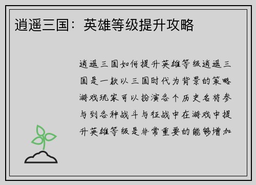 逍遥三国：英雄等级提升攻略